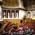 IMG 4594