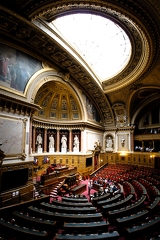 IMG 4596